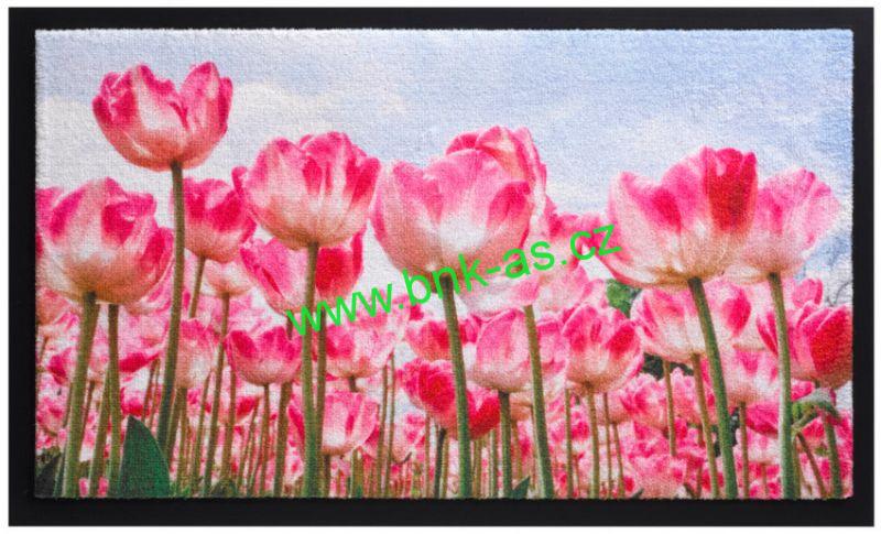 rohožka 585 Image 45x75cm 003 Tulipány