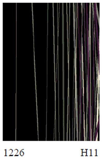 kusový koberec Shiraz Kenya 160x230 cm